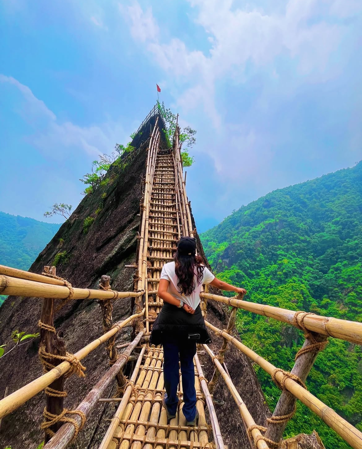 Living root bridge in Meghalaya